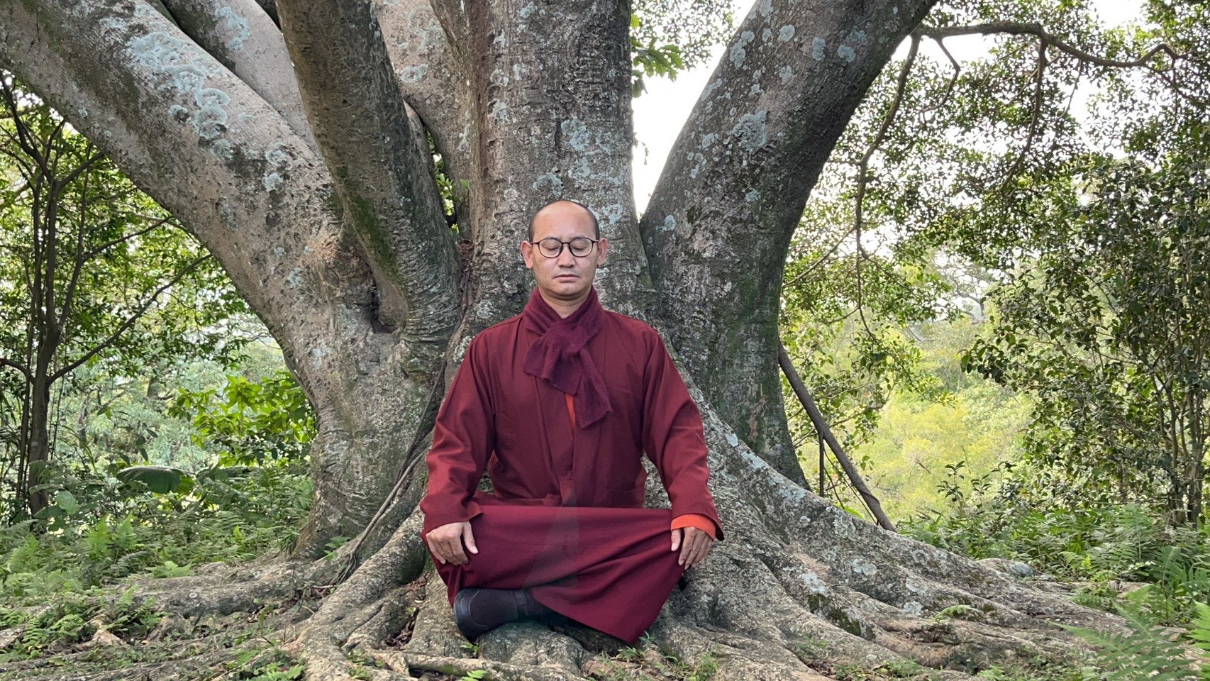 這是一張圖